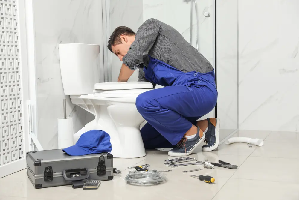 Toilet Repair in Foothill Farms